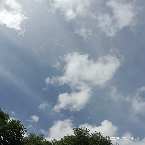 IMG_20220630_145533