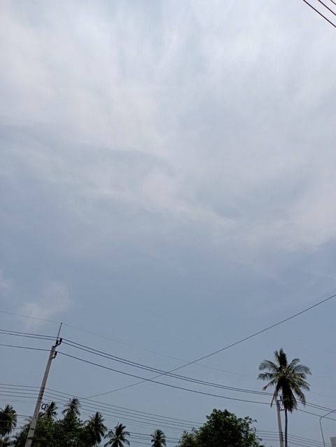 IMG_20220401_122315