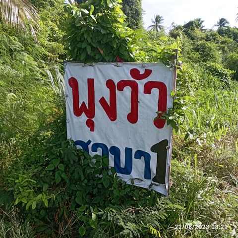 IMG_20230822_082107