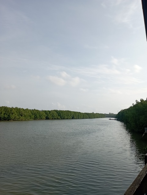 IMG_20220319_080430