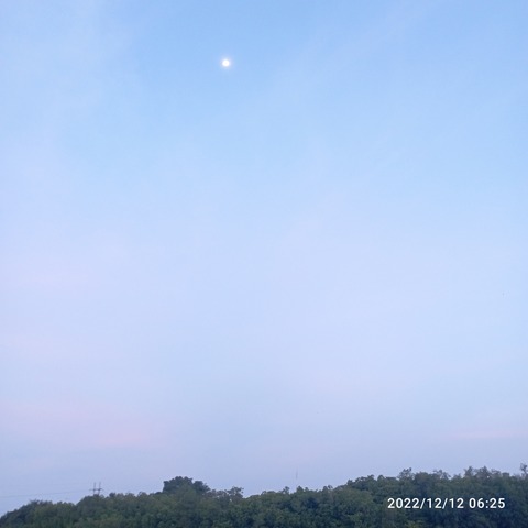 IMG_20221212_062527