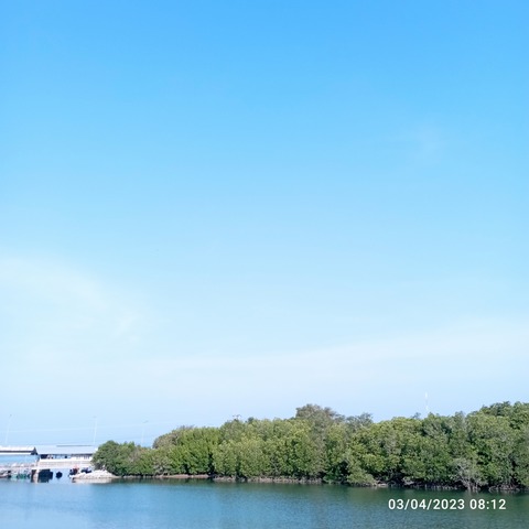 IMG_20230403_081258