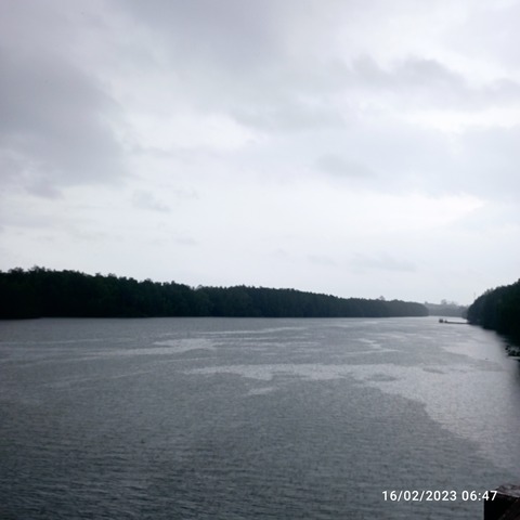 IMG_20230216_064750