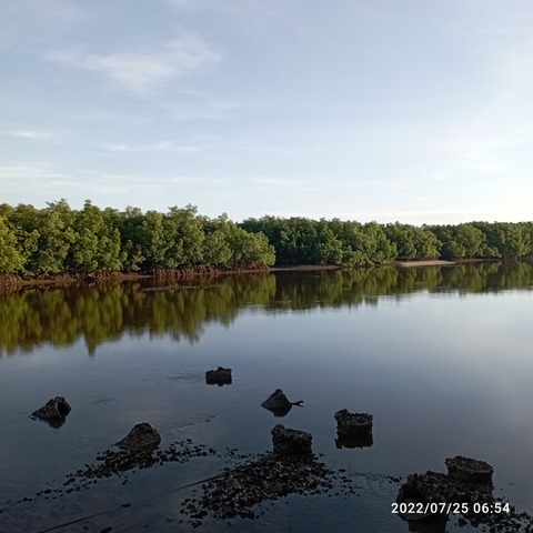 IMG_20220725_065437