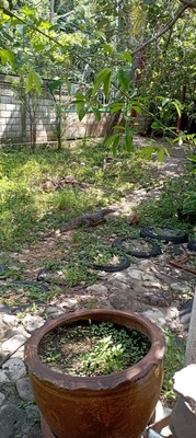 received_1397572867424897