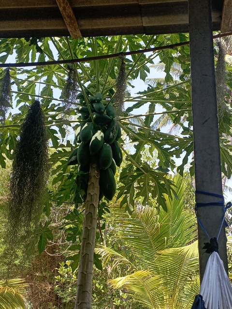 17154985025575544286385681272288