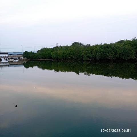 IMG_20230210_065135