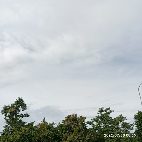 IMG_20220708_085547