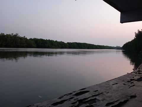 IMG_20220413_055759