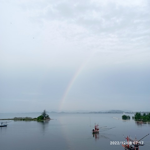 IMG_20221208_071718
