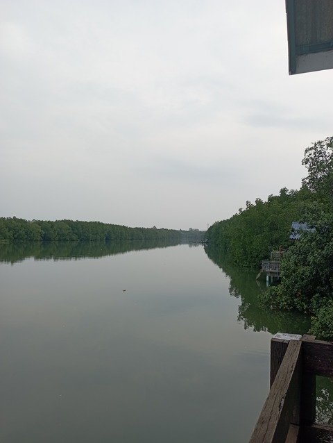 IMG_20220314_070758