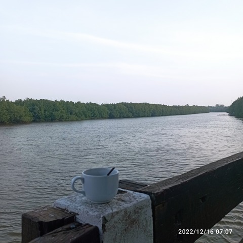IMG_20221216_070721