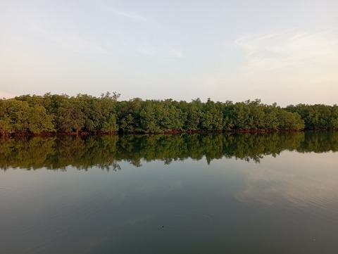 IMG_20220331_064859