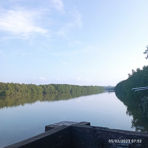 IMG_20230205_075207