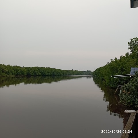 IMG_20221026_063407