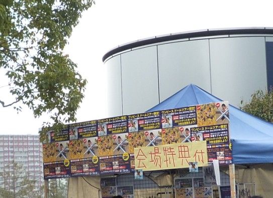 ワンピースドームツアー会場限定クリアファイル 3dジャケット チョッパーマニア ワンピースフィギュア情報