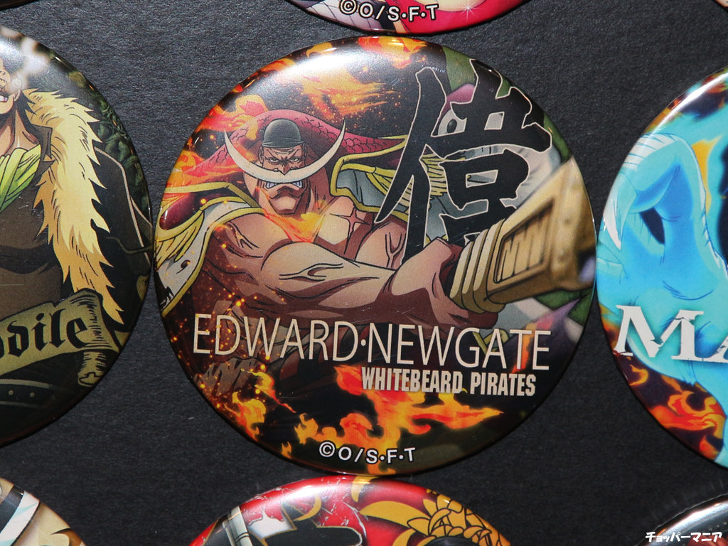 マリンフォード編が登場！ ワンピース輩缶バッジ第6弾 FIRE 麦わら