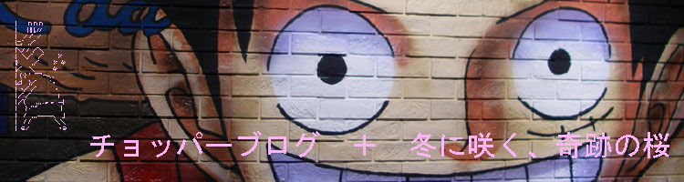 ワンピース トニートニーチョッパーブログ第4弾 チョッパーマニア ワンピースフィギュア情報