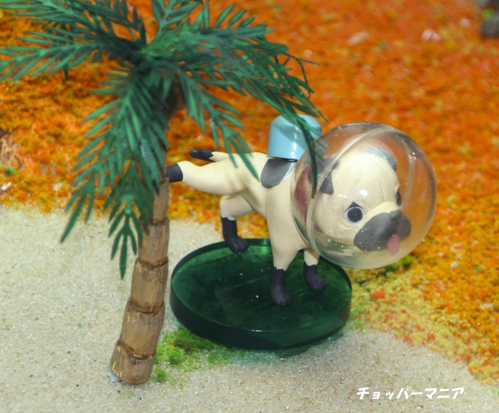 ワーコレ動物シリーズ ワーコレzoo 情報 チョッパーマニア ワンピースフィギュア情報