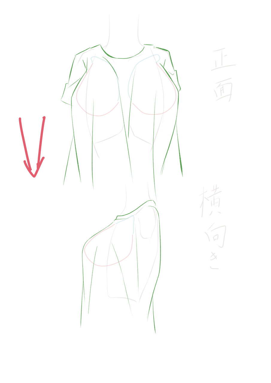二次　貧乳 