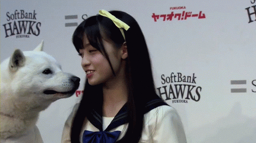 画像あり 橋本環奈 猫を見つめる姿に絶賛の嵐 可愛いの極み 最高の組み合わせ パチ速 マメマメチェック 画像あり 橋本環奈 猫を見つめる姿に絶賛の嵐 可愛いの極み 最高の組み合わせ パチ速 マメマメチェック