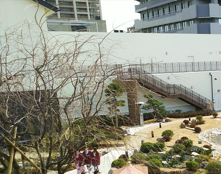 自粛なし Ngt48荻野由佳 太野彩香 西潟茉莉奈が温泉に行く画像が流出 にゃん友news