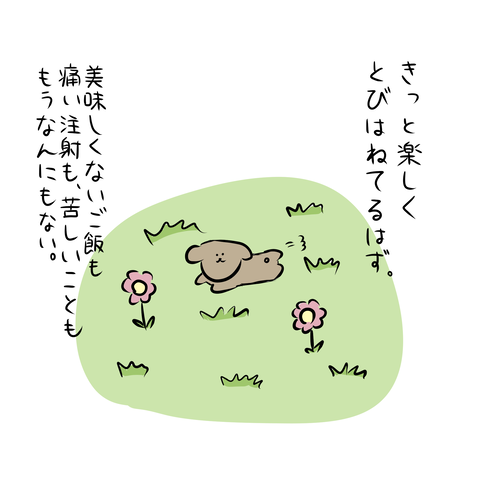 犬5