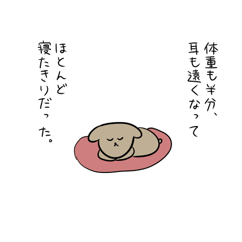 犬2