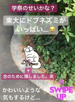 東大はネズミーランド