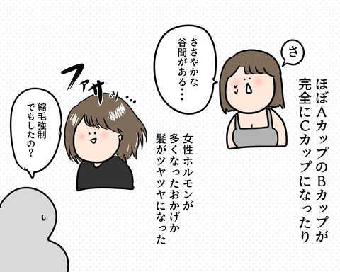ピル結果4