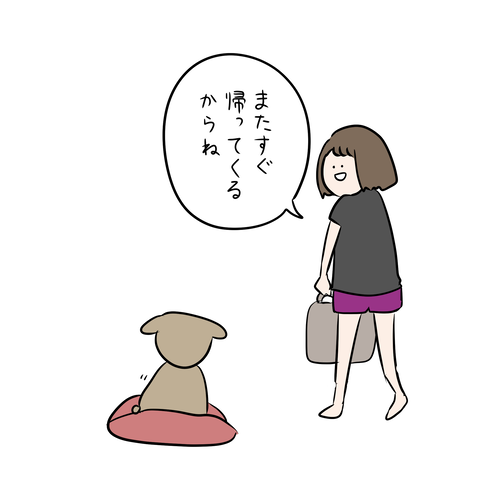 犬4