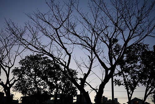 20100126Ω