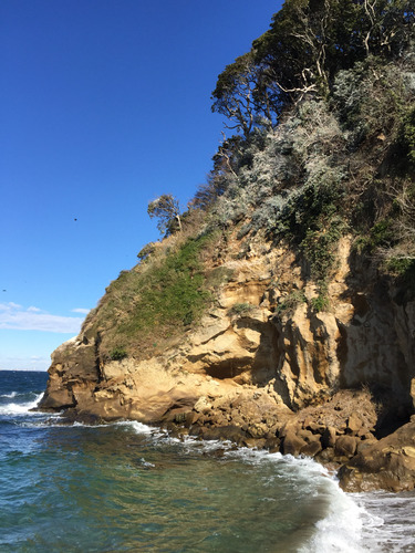 2015-01-31-12-12-47
