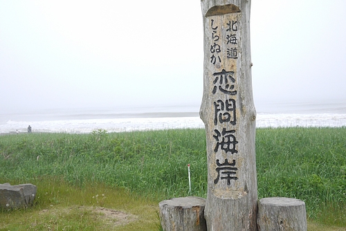 ƻαء