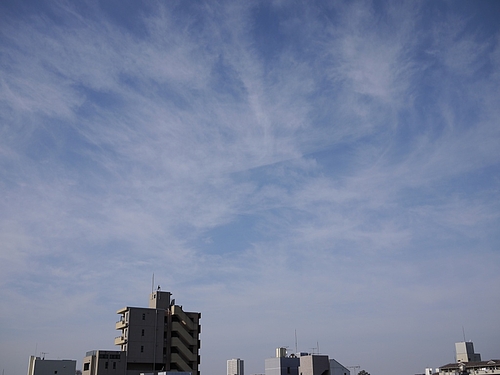 2009ǯ1227ζ