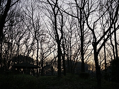 20091226翹