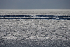 201002̳ƻ