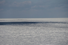 201002̳ƻ