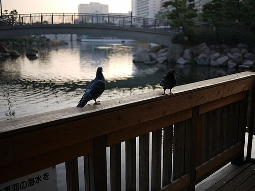 20091226翹