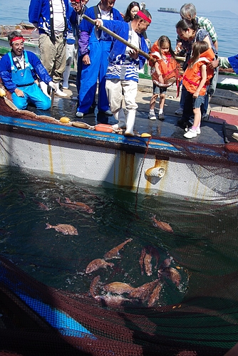 201005鞆の浦 201005鞆の浦