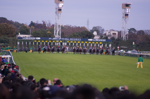 IMGP2085