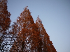 20091226翹