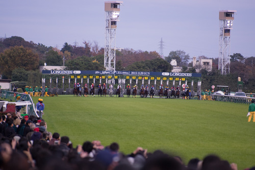 IMGP2078