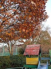 20091226翹