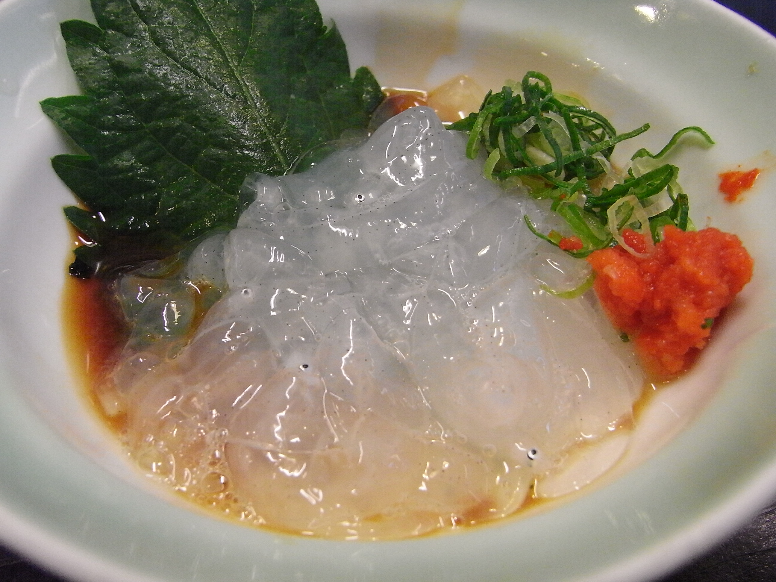 福山から高知への移動は バスが楽 No Satisfaction