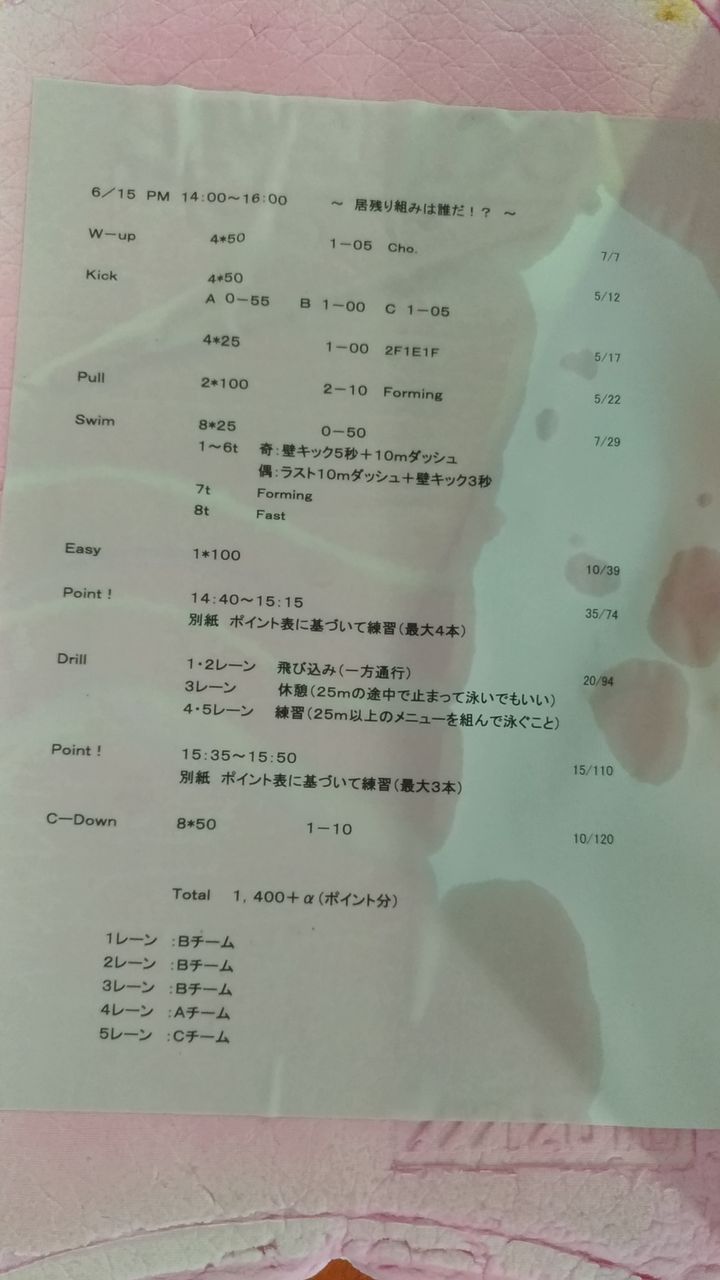 水泳 合宿 メニュー