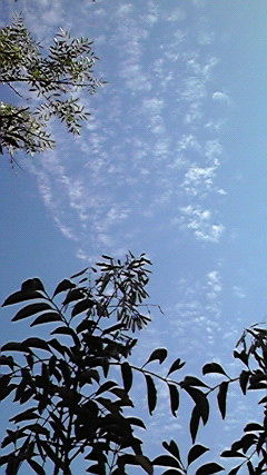 2010101609460000�����