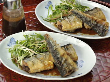 ½©Åáµû¤ÎÅâÍȤ²