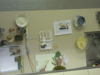 DSCN0409