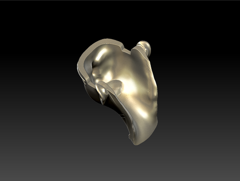 face01